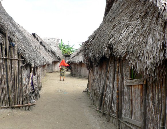 79- Une rue de Mulatupu 